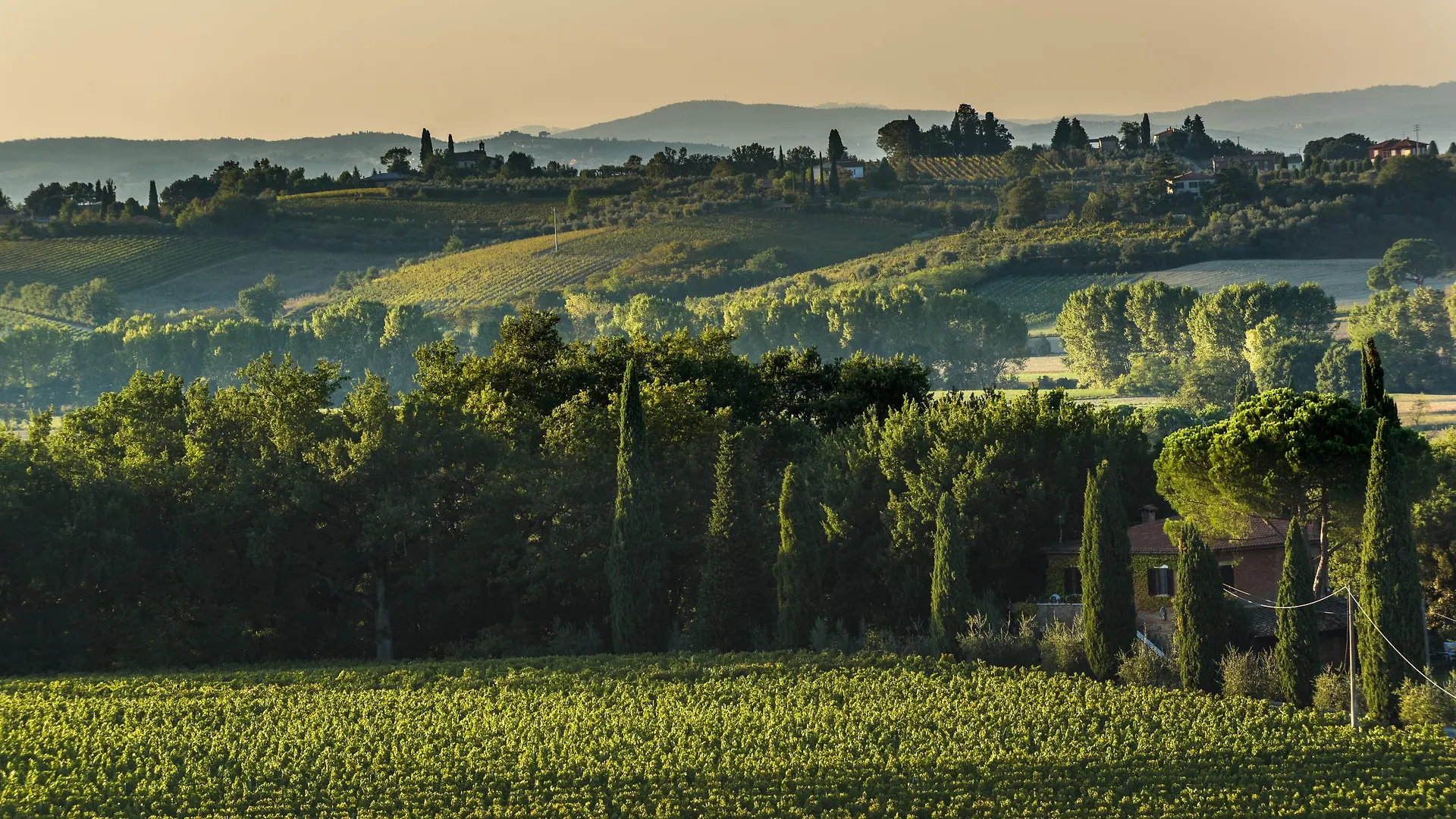 شقة La Casa Delle Querce Acquaviva