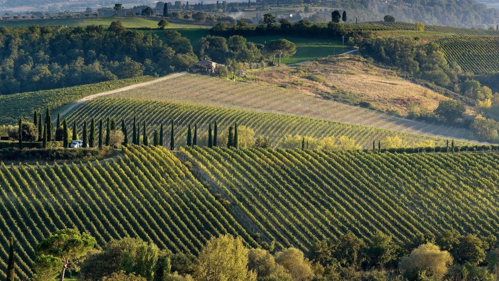 شقة La Casa Delle Querce Acquaviva   Acquaviva (Montepulciano)